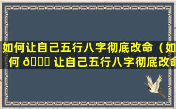 如何让自己五行八字彻底改命（如何 🐋 让自己五行八字彻底改命运）